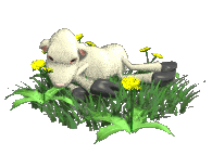 No worries Mate. YAHUSHUA's Little Lamb chilling out in the grass without a care in the world.